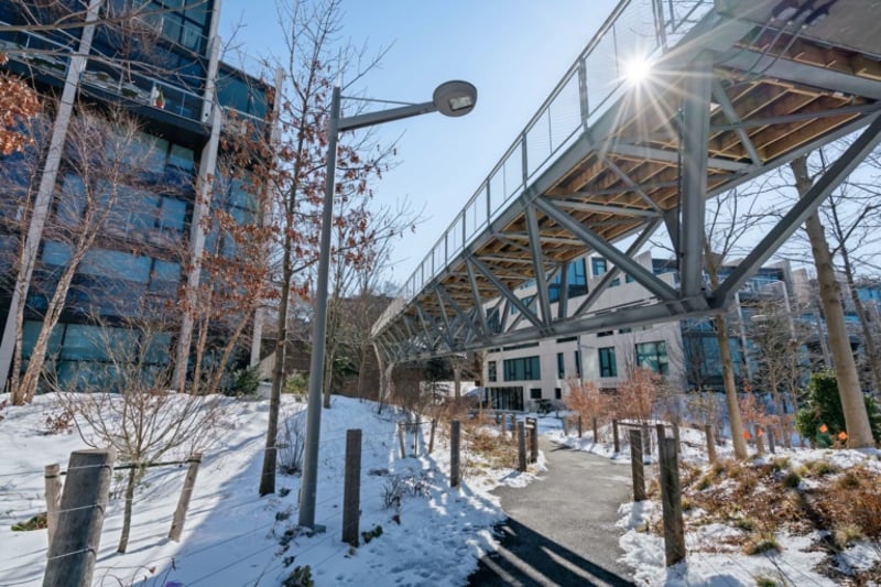 Squibb Bridge preview 6